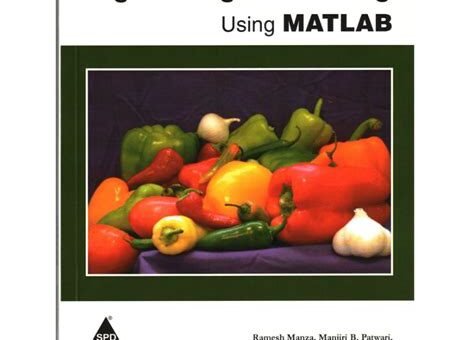 Advanced Image Processing Techniques in Matlab